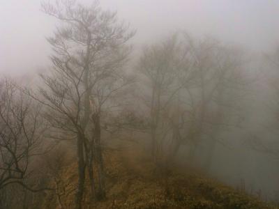 かなり周辺がガスってきた