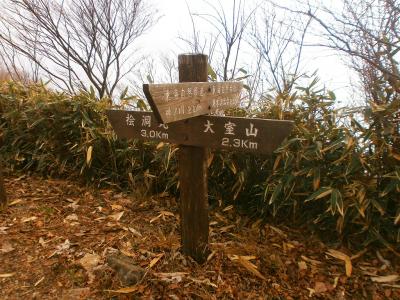 ちょい消化不足と時間があったので、ここから大室山ピストンすることにした
