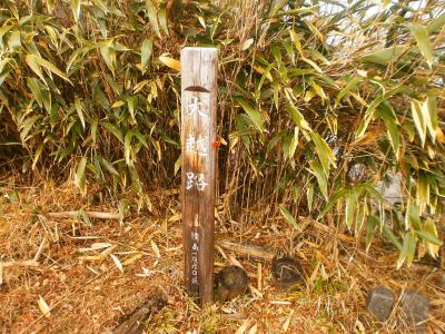 犬越路は標高1060mか。ということは既に檜洞丸から500mちょい下ってきてることになる