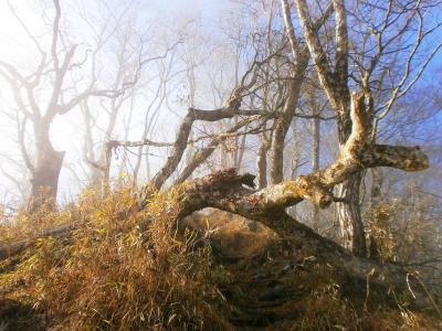 青とガスと・・・この色はなんか神秘的な感じだった