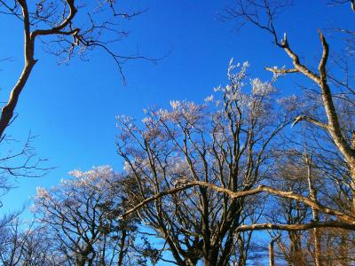 青空と霧氷のようなコラボが撮れたけど、なんだか中途半端な感じもする