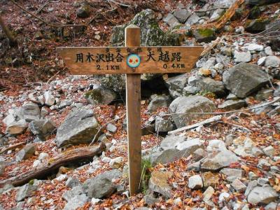 ここで犬越路でなくて用木沢出合方面へ。これ道間違えそう。東海自然歩道の看板だったけど、歩いていた時期が懐かしい！！