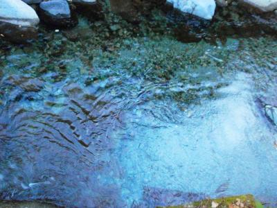 沢の水が綺麗。ブルーっぽい色をしていた