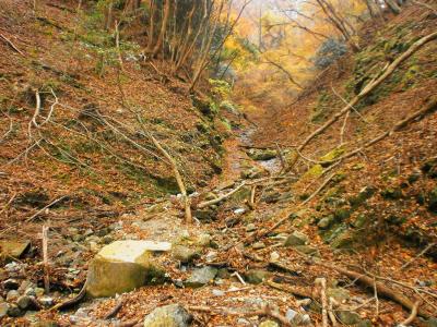 ちょっと荒れた感じの道になっているけど迷いはしない