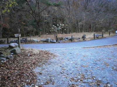ここで道路まで下ってきた