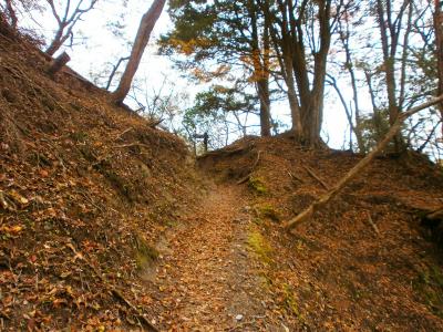ピークぽいところにでる。そこからゴーラ沢までは平坦な道が続く