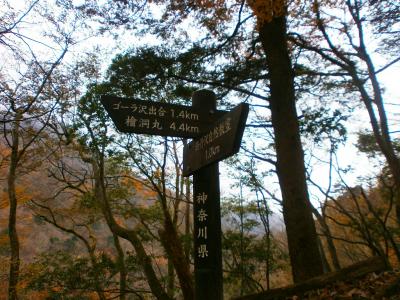 さっきのところからまだ400mしか来てないのか！？あと4.4kmもある