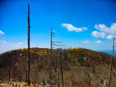 後で行く正木ヶ原方面が見える