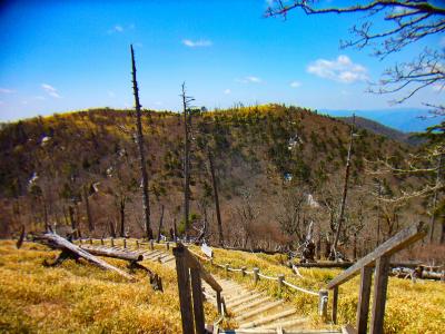 日出ヶ岳を後にして正木ヶ原に向かう