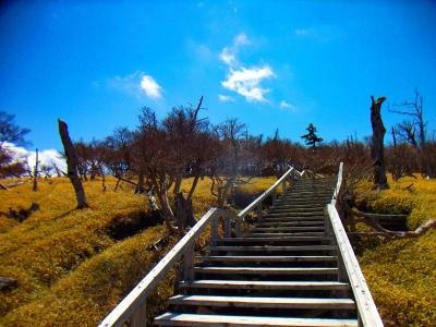 正木ヶ原への登り。整備された木道が続く。ここの登りはそこまでしんどくない