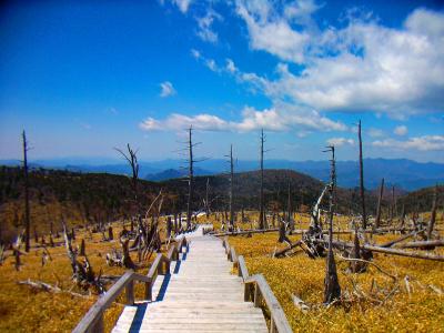 ピークへ登り下っていく。この辺は樹林帯の中だったのが台風で一気にやられてハゲ山状態になったらしい