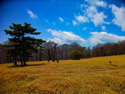 この付近が牛石ヶ原かな。高原地帯が広がる