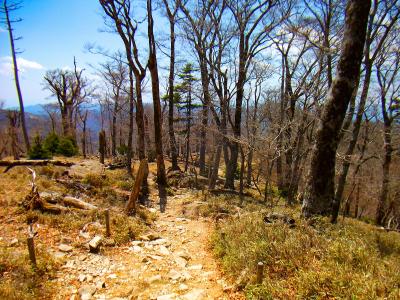 ここから大蛇嵓のほうへ下りていく