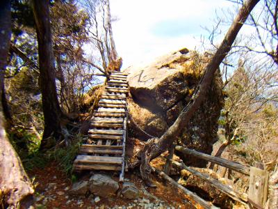 この木の階段、ちょっとヤバそうだけどしっかりしていた