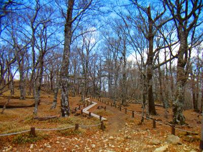 大蛇嵓から戻って次にシオカラ谷へ下りていく。これが失敗だったかも