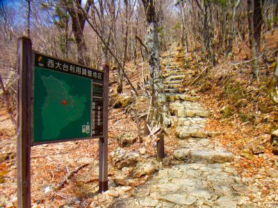 ここから駐車場までちょっとしんどい登りが始まる