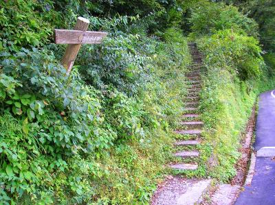 夏山登山道に入る