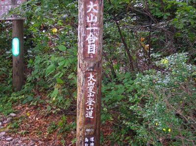 大山一合目。ここから六合目付近までずっと階段の道が続く