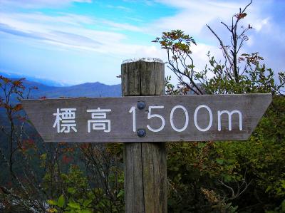 標高1500m地点。あと200mちょっと登ったら山頂だ