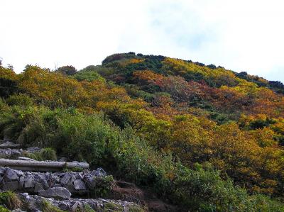 九合目のこの付近から木道が続く