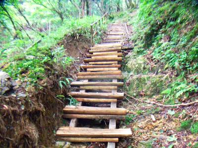 木道の階段とか参道なのか結構整備されている