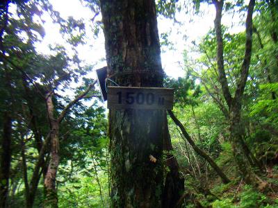 1500Mって標高のことかな！？