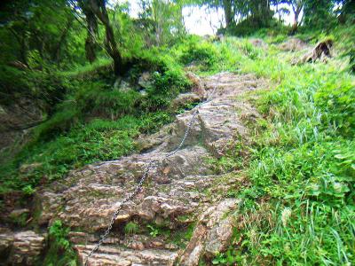 ところどころ岩がある。雨上がりだったので滑りやすかった