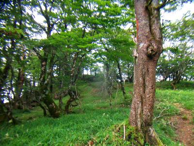 三角点へ向かう