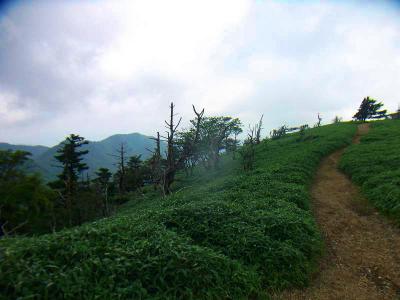 山頂のお花畑。お花なんてどこにも咲いてないけどね