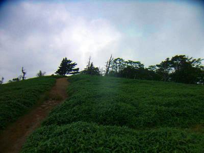 さて、そろそろ下りますかな