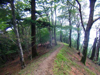 大峰らしいいい感じの道になった