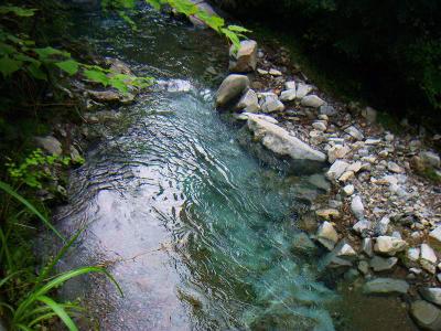 道路横の沢。この辺は水が綺麗だな。まあ沢登りできるほどのものでもないけどね