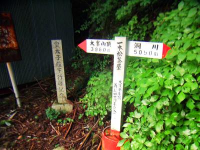 大峰山頂（山上ヶ岳）が3960mと細かいな