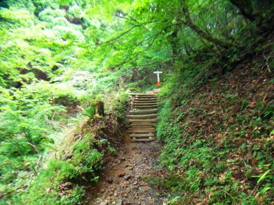 お助け水からは急坂の階段が増えてくる
