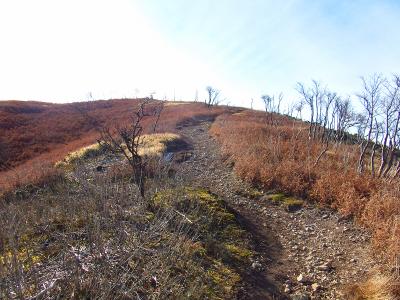 鈴北岳の直下はちょっとしたガレ場の道になる