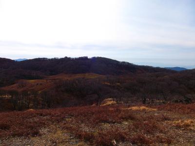 ここからがテーブルランドと呼ばれるカルスト台地かな。高原地帯なのが広がる