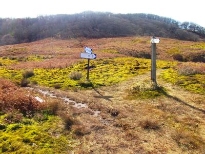 ここで分岐点。御池岳は左側なのでそっちへ進んでいく