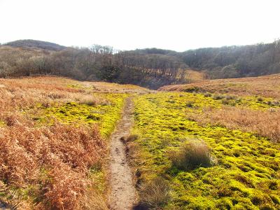こういった台地の道が続く。ここも歩いていて気持ちが良い