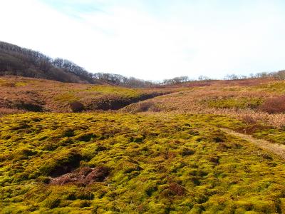 こんな高原地帯みたいなところがあったなんて知らなかった