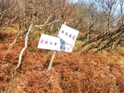 ここで分岐。当然、御池岳のほうへ行くので右へ