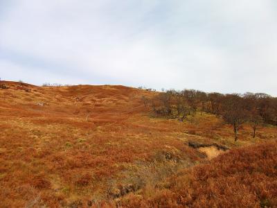 冬に来るとおそらく素晴らしい高原地帯だろうと思いながら歩いていく