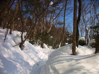 ダケ道はトレースがついていて歩きやすかった