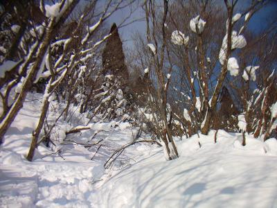しかし、長いってのがダケ道。樹林帯の中をずっと歩いていく