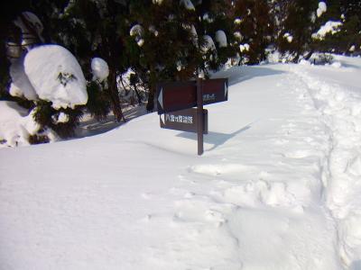 ここで八雲ヶ原を通り越して武奈ヶ岳のほうへ行く