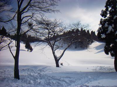 トレースはあるけどここからはハマりそうなのでワカンを履く