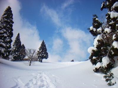 青空がでてきた。このまま青空であってほしい