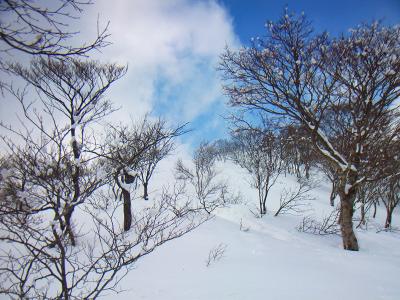 この付近はワカンでも沈み込む。ラッセルとはいかないにしても歩きにくかった。そしていよいよ武奈ヶ岳への登りが始まる