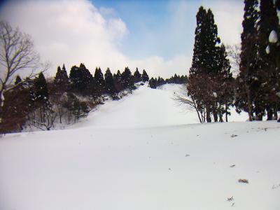 ここは北比良峠の昔スキー場があったところかな？スキーには良い感じの斜面だけど・・・