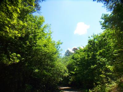 今日は梅雨の中でも晴天の青空。このまま天気がもってくれればいいんだけどね