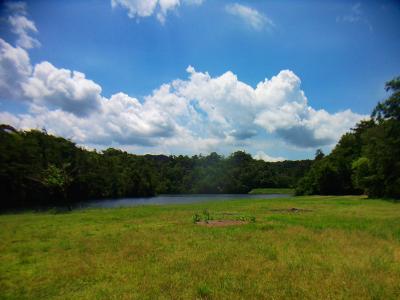 ここはちょいオシャレなリバー的な感じがした